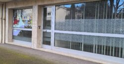 Réf : GES31820036-492,  pièce(s), VIENNE