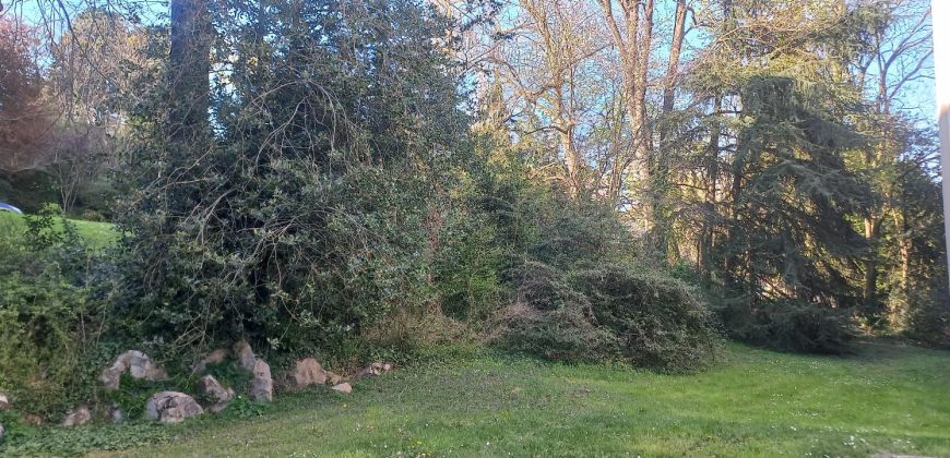 Réf : icsIID1260-004, 4 pièce(s), LA MULATIERE