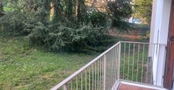 Réf : icsIID1260-004, 4 pièce(s), LA MULATIERE