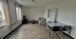 Réf : GES96050018-787, 2 pièce(s), VILLEURBANNE