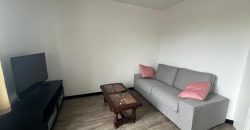 Réf : GES96050018-787, 2 pièce(s), VILLEURBANNE