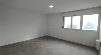 Réf : GES13390638-374, 1 pièce(s), VILLEURBANNE