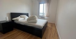 Réf : GES96050018-787, 2 pièce(s), VILLEURBANNE