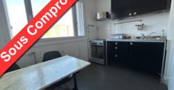 Réf : icsGST1241-001, 1 pièce(s), VILLEURBANNE