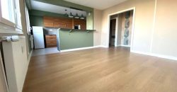 Réf : GES12980460-375, 3 pièce(s), DECINES CHARPIEU