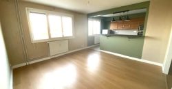 Réf : GES12980460-375, 3 pièce(s), DECINES CHARPIEU