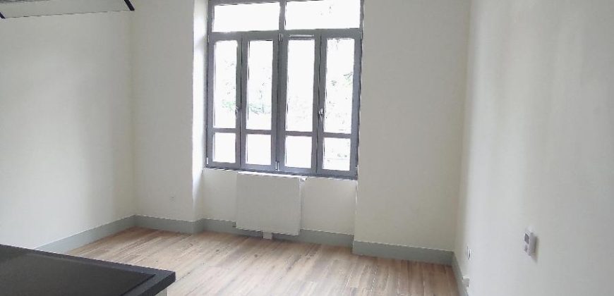 Réf : icsMFZ157-005, 1 pièce(s), BOURG EN BRESSE