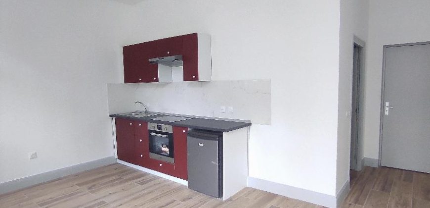 Réf : icsMFZ156-005, 1 pièce(s), BOURG EN BRESSE