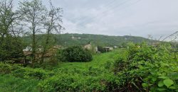 Réf : icsRME1244-003,  pièce(s), GIVORS