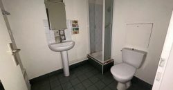 Réf : icsGST1278-001, 2 pièce(s), VILLEURBANNE