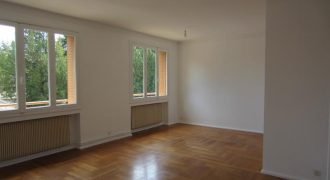 Réf : GES85674011-375, 2 pièce(s), CALUIRE ET CUIRE