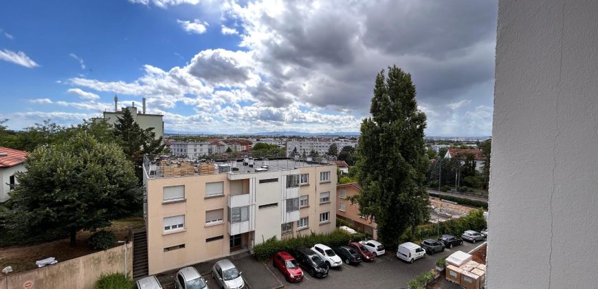 Réf : icsMVL1218-002, 2 pièce(s), DECINES CHARPIEU – LE MOLARD