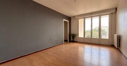 Réf : icsMVL1218-002, 2 pièce(s), DECINES CHARPIEU – LE MOLARD