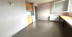 Réf : icsGST1281-001, 1 pièce(s), VILLEURBANNE