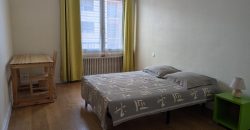 Réf : GES00420045-787, 3 pièce(s), VILLEURBANNE