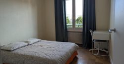 Réf : GES00420045-787, 3 pièce(s), VILLEURBANNE
