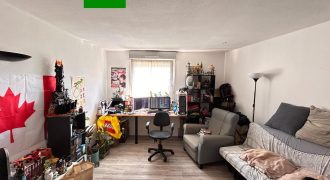 Réf : icsMVL1288-002, 1 pièce(s), VILLEURBANNE