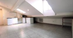 Réf : GES97080019-374, 2 pièce(s), VILLEURBANNE