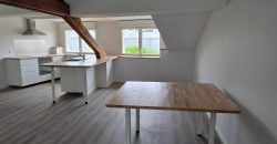 Réf : GES03280003-377, 2 pièce(s), SAINT ETIENNE
