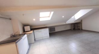 Réf : GES97080019-374, 2 pièce(s), VILLEURBANNE