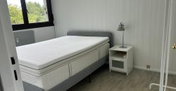 Réf : GES12280038-375, 2 pièce(s), VILLEURBANNE