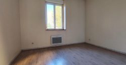 Réf : GES31650004-492, 4 pièce(s), GIVORS