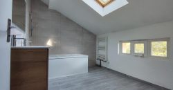 Réf : GES44120001-374,  pièce(s), Saint Genis Laval